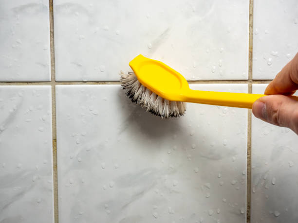 Best Mold Testing  in Bellbrook, OH