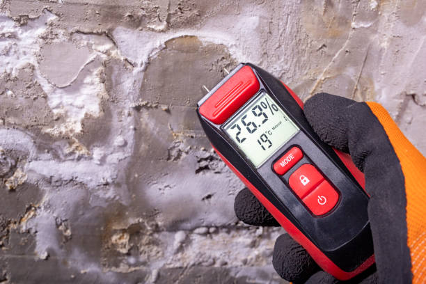 Best Commercial Mold Removal  in Bellbrook, OH