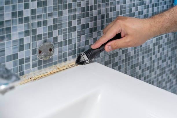 Best Toxic Mold Removal  in Bellbrook, OH